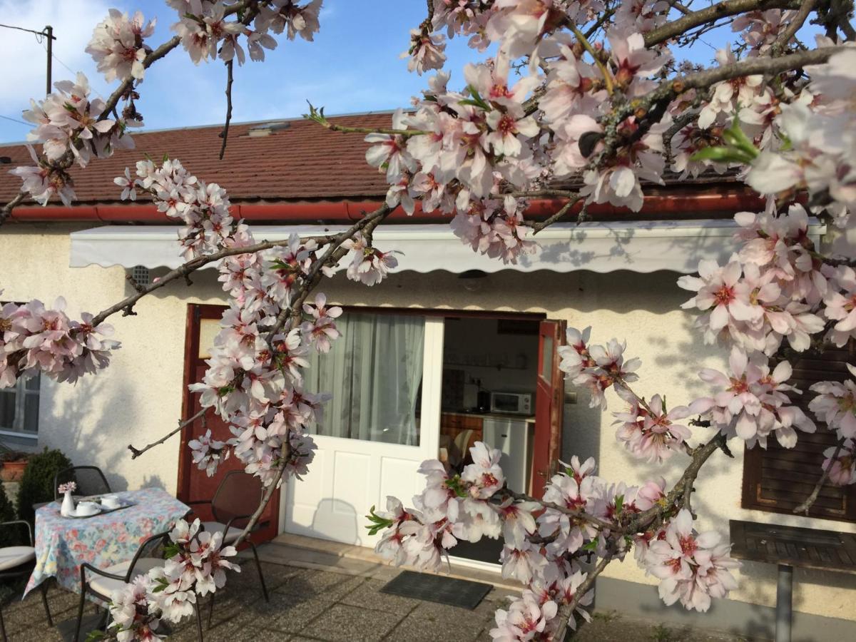Mandula Haz Hotel Veszprém Екстериор снимка