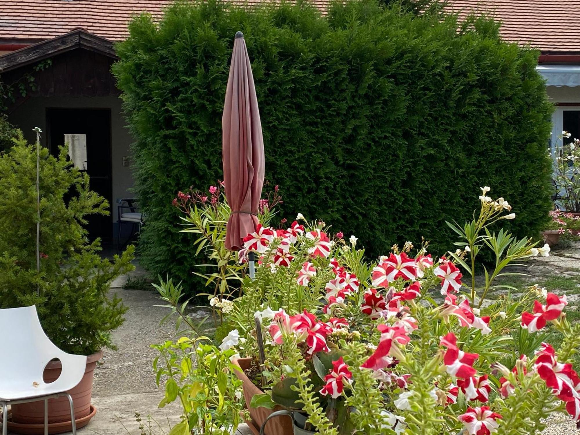 Mandula Haz Hotel Veszprém Екстериор снимка